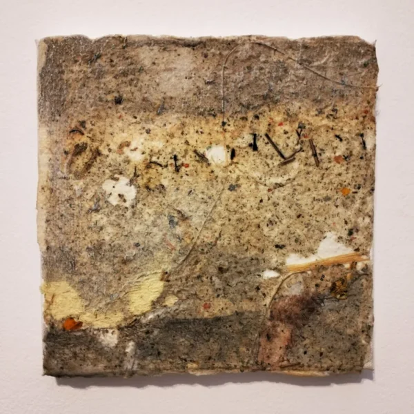 Expoziția colectivă a lunii ianuarie la galeria brãteanu din timișoara 7 maria balea
