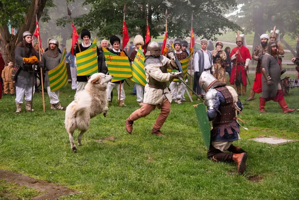 Număr record de vizitatori la complexul muzeal arad în 2025 2 museum reenact fest