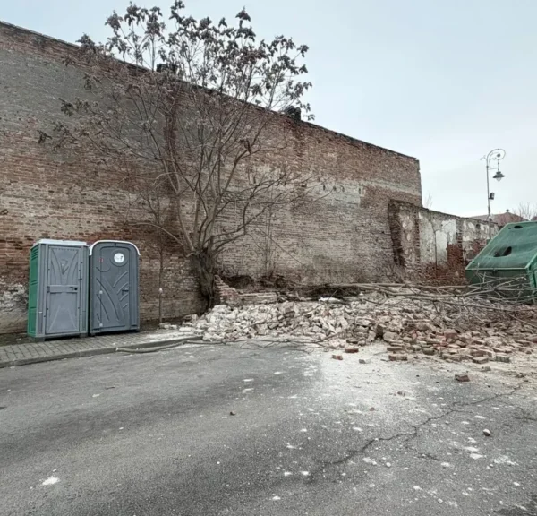 primăria arad a identificat vinovatul