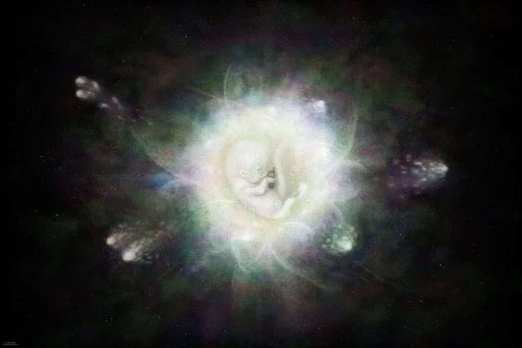 26