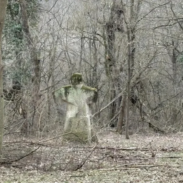 parcul de sculpturi casoaia 17