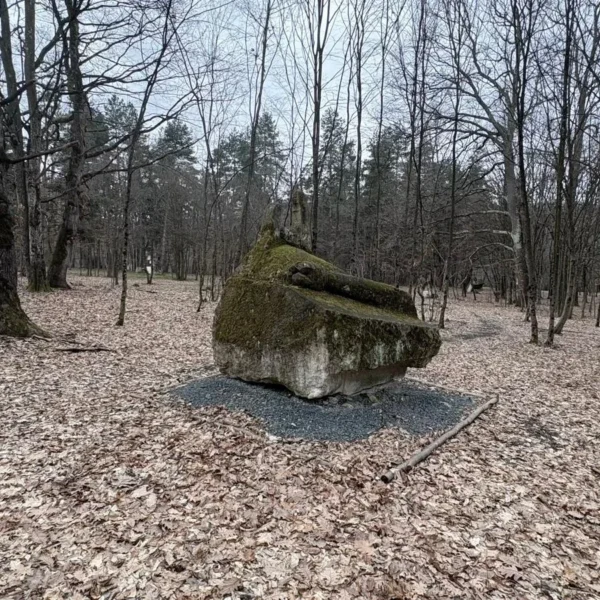 parcul de sculpturi casoaia 21