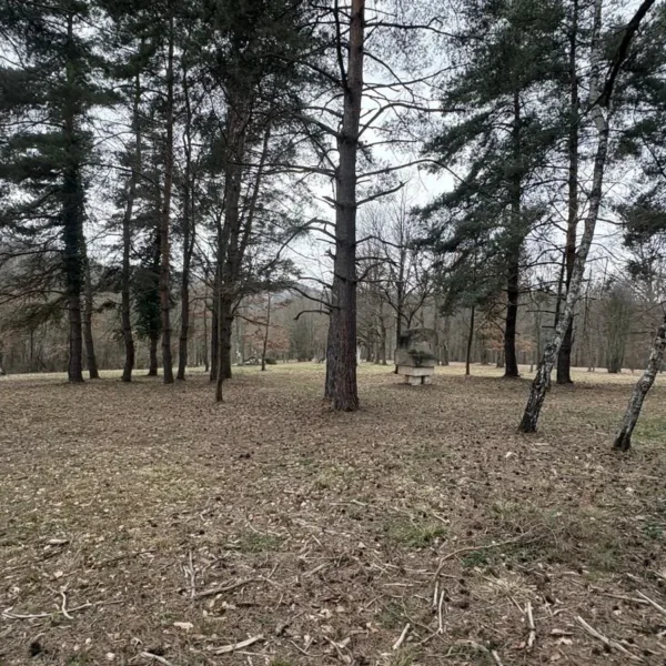 parcul de sculpturi casoaia 27