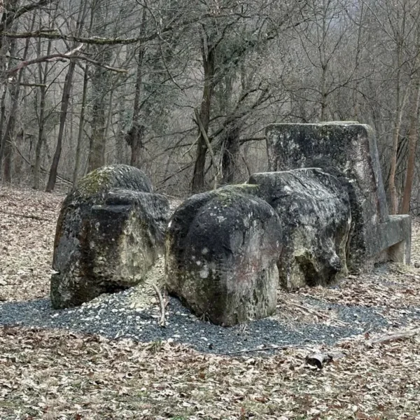 parcul de sculpturi casoaia 4