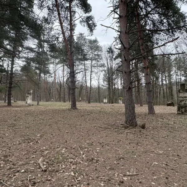 parcul de sculpturi casoaia 41