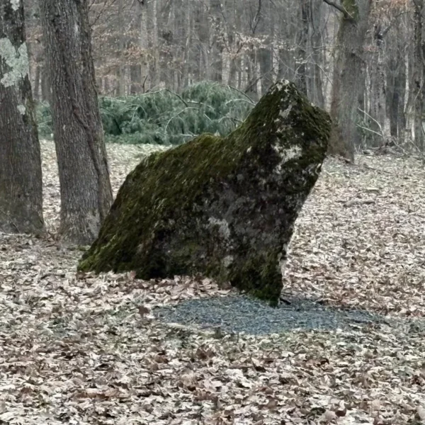 parcul de sculpturi casoaia 42