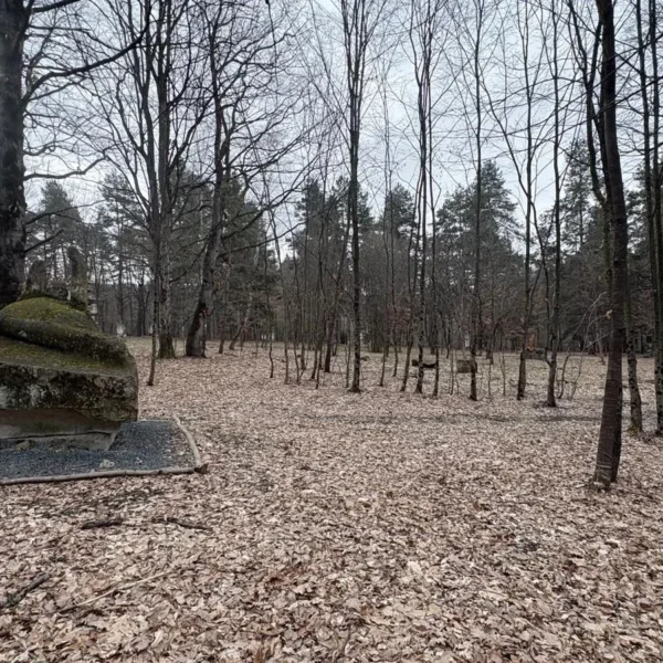 parcul de sculpturi casoaia 45