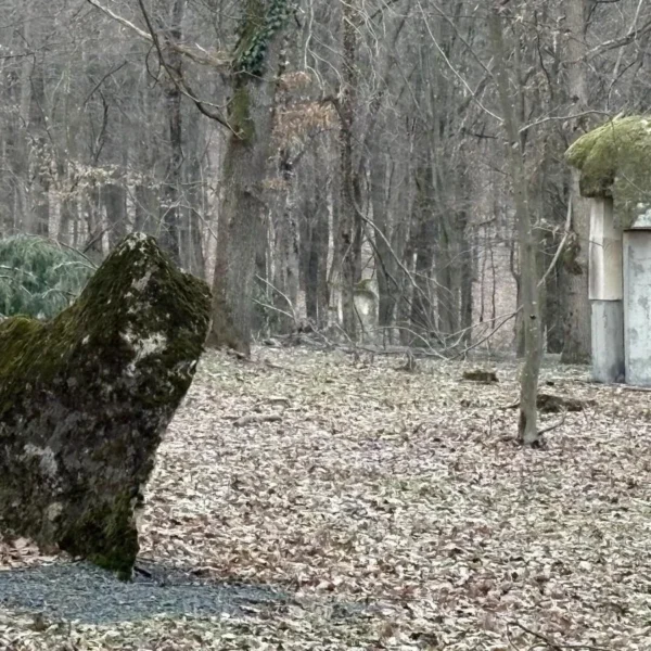 parcul de sculpturi casoaia 8
