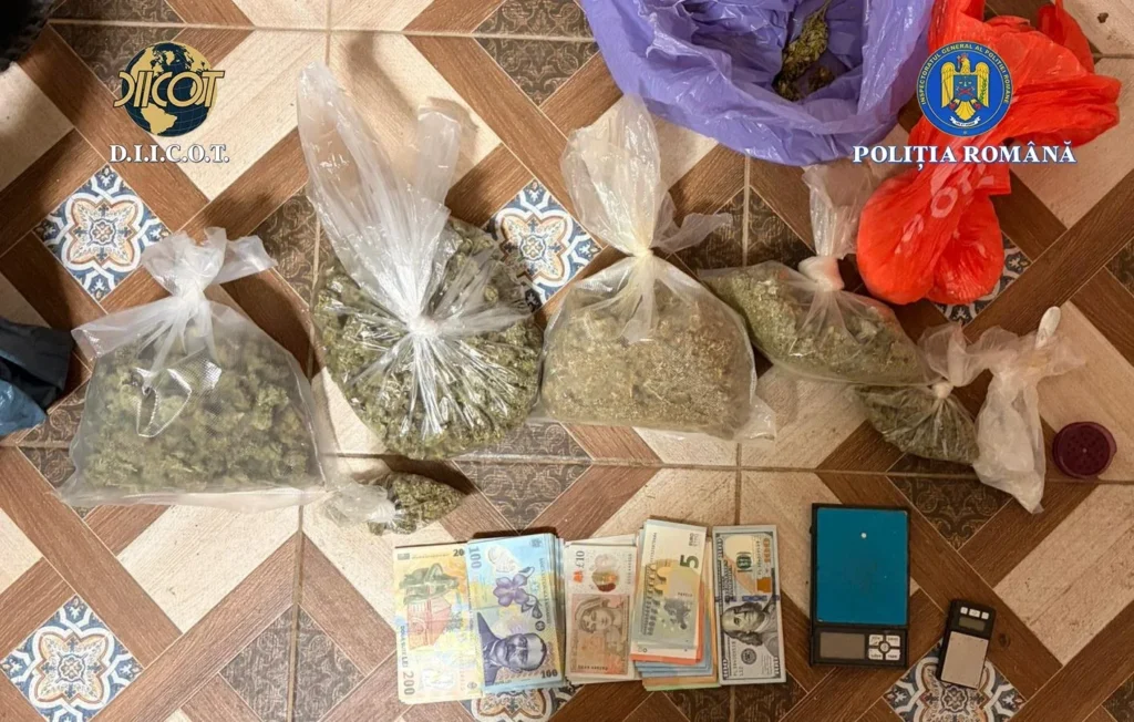 Diicot timișoara | patru persoane reținute în dosarul drogurilor legat de crima de la cenei | furnizau droguri dealerilor de la care s-au aprovizionat adolescenţii care l-au ucis pe mario 2 whatsapp image 2026 02 26 at 11.36.51