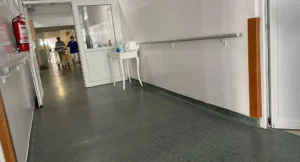 starea pădurarului din gurahonț împușcat