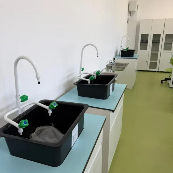 Liceul teoretic sebiș a fost inaugurat oficial după finalizarea unui proiect de reabilitare în valoare de 9. 147. 000 lei 13 liceul sebis 15