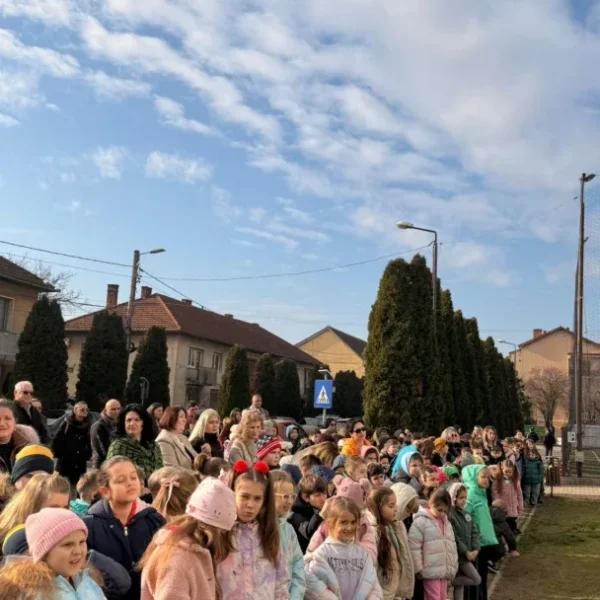 Liceul teoretic sebiș a fost inaugurat oficial după finalizarea unui proiect de reabilitare în valoare de 9. 147. 000 lei 3 liceul sebis 22