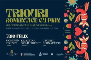 melodii nordice si pasiune germana poster