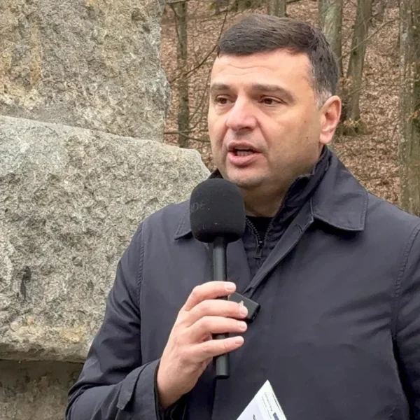 sergiu bilcea
