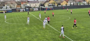 timisul sag unirea santana