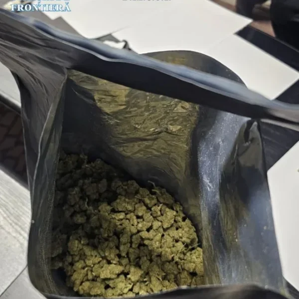 Flagrant cu o jumătate de kilogram de „iarbă”, la nădlac 9 whatsapp image 2026 03 30 at 15.46.11