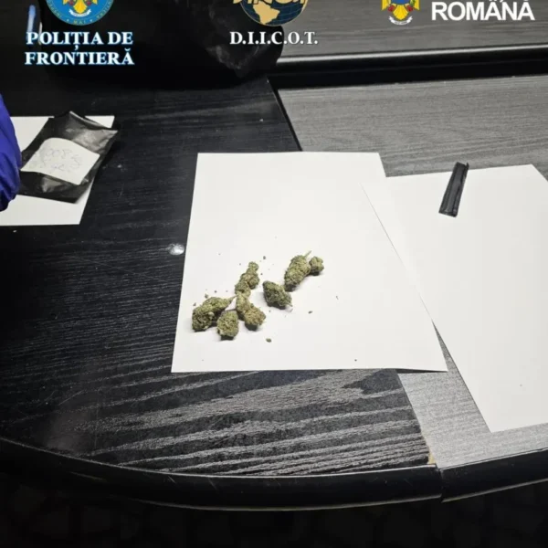 Flagrant cu o jumătate de kilogram de „iarbă”, la nădlac 2 whatsapp image 2026 03 30 at 15.46.20
