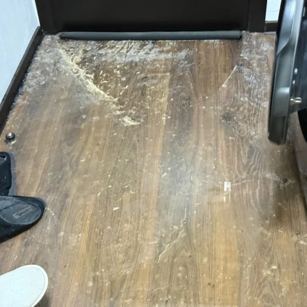 Neînțelegerile dintre vecini, într-un bloc din cartierul aurel vlaicu zona făt-frumos, au culminat cu distrugerea unui apartament 4 apartament inundat arad3