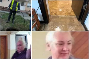 neînțelegerile dintre vecini