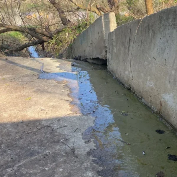 Ștrandul „neptun” a intrat pe „modul postapocaliptic” (1) | sezonul estival 2026 își așteaptă clienții cu +90% din micile afaceri în faliment, cu canalizarea care se varsă tot în mureș și cu o conducere aproximativă... Totul la doar 1000 de lei! 15 canalizare