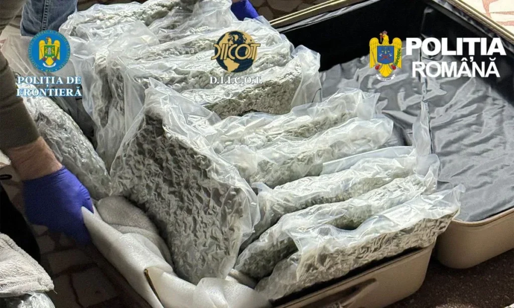 Cetățean străin - prins în flagrant la nădlac în timp ce încerca să intre în țară cu 31 de kilograme de cannabis vidat, în două trolere 1 flagrant