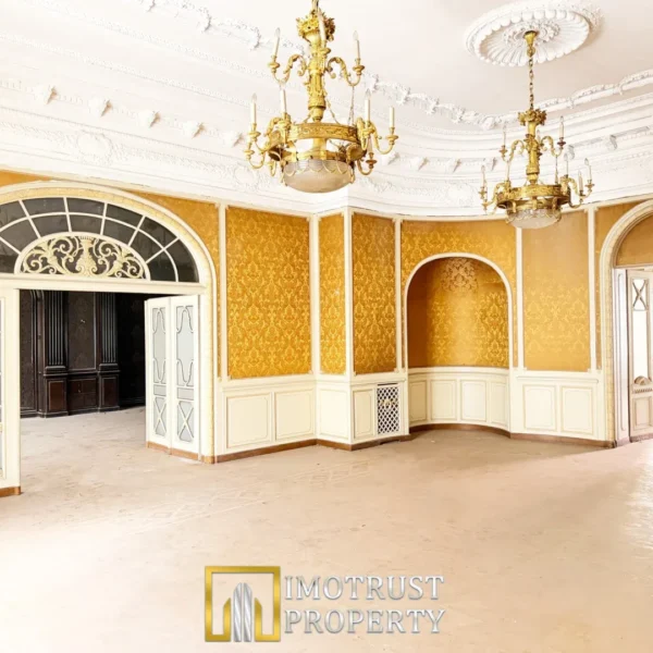 Casa neuman a fost listată la prețul de 2. 400. 000 de euro și așteaptă un proprietar demn de moștenirea istorică pe care o poartă 17 casa neuman 15