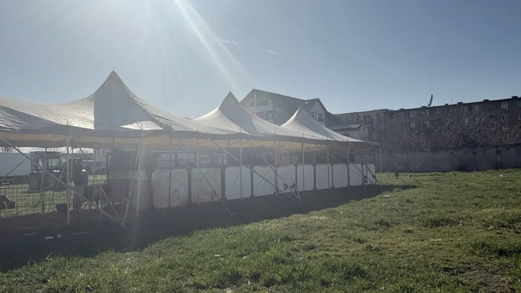 Spre disperarea rezidenților ared, circul a revenit la fereastra lor 2 circ1