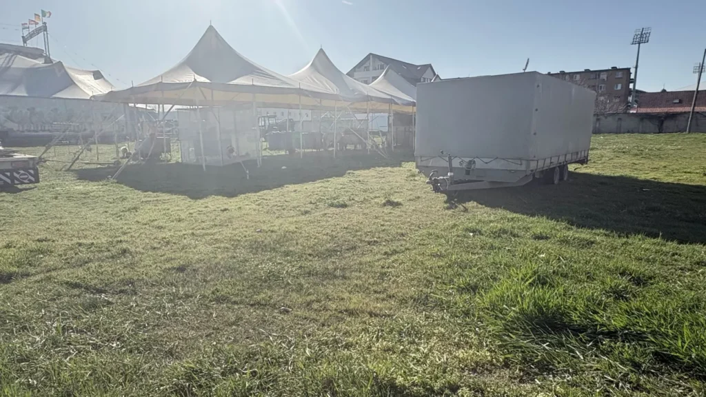 Spre disperarea rezidenților ared, circul a revenit la fereastra lor 6 circ5