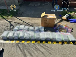 diicot arad | tânără