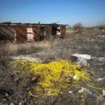 Câmpuri roditoare de moloz și cabluri, în prelungirea cartierului gai 9 deseuri gai8