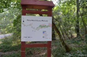 insula bicicletelor” | în zona