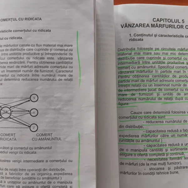 plagiate 7