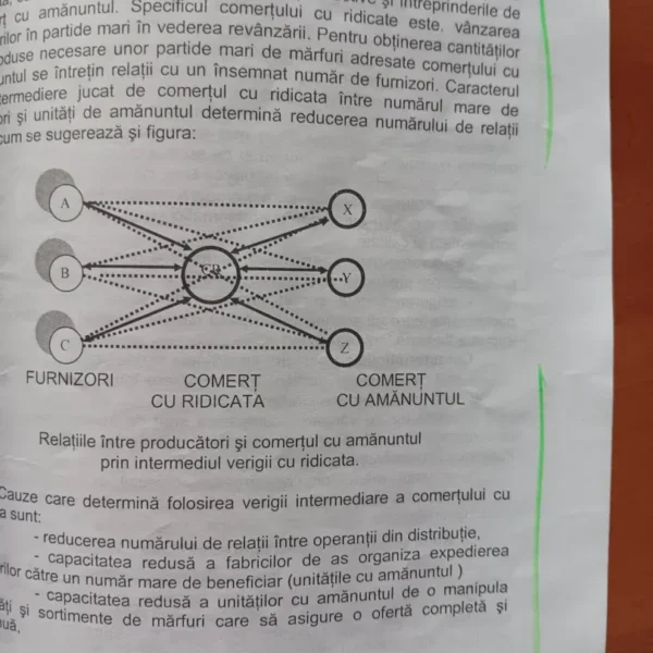 plagiate 8
