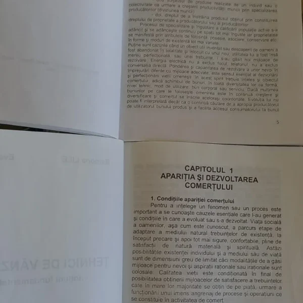Ramona lile: „nu am plagiat niciuna dintre lucrările mele de autor și nici de coautor” | iată un alt exemplu care o contrazice 7 tehnici de vanzare plagiat 5 1 e1773034034932