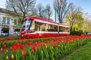 tramvai imperio civitas poza faina