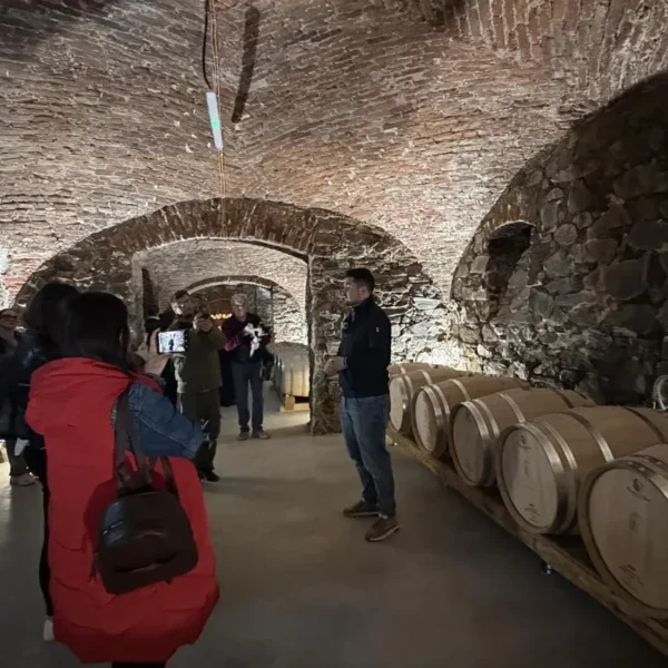 Noile crame din podgoria aradului | o excursie necesară și obligatorie pentru înțelegerea calității vinurilor din zona păuliș-covăsânț-mocrea 8 artisan winery paulis 1