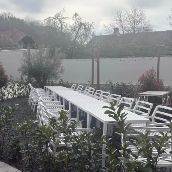 Noile crame din podgoria aradului | o excursie necesară și obligatorie pentru înțelegerea calității vinurilor din zona păuliș-covăsânț-mocrea 3 artisan winery paulis 12