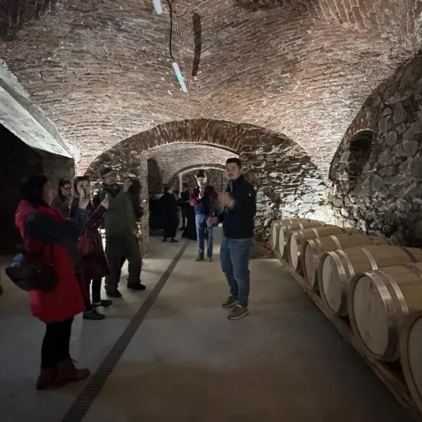 Noile crame din podgoria aradului | o excursie necesară și obligatorie pentru înțelegerea calității vinurilor din zona păuliș-covăsânț-mocrea 6 artisan winery paulis 17