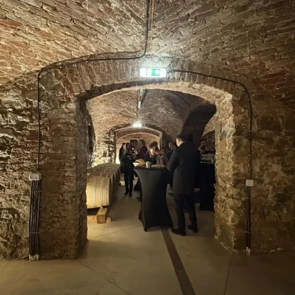 Noile crame din podgoria aradului | o excursie necesară și obligatorie pentru înțelegerea calității vinurilor din zona păuliș-covăsânț-mocrea 7 artisan winery paulis 6
