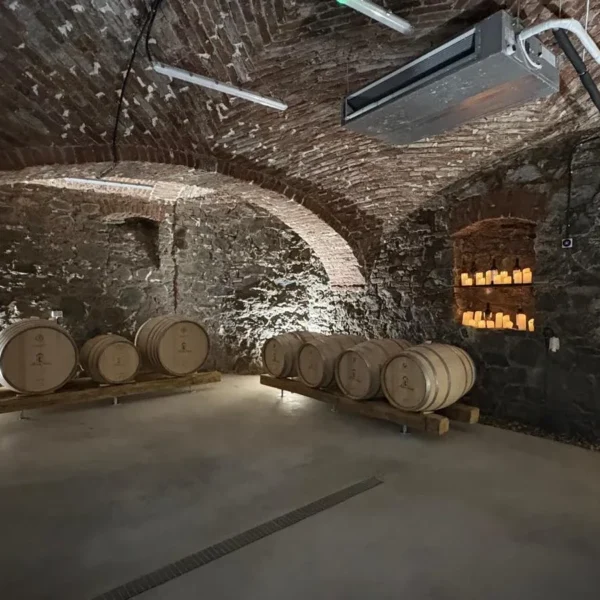 Noile crame din podgoria aradului | o excursie necesară și obligatorie pentru înțelegerea calității vinurilor din zona păuliș-covăsânț-mocrea 10 artisan winery paulis 9