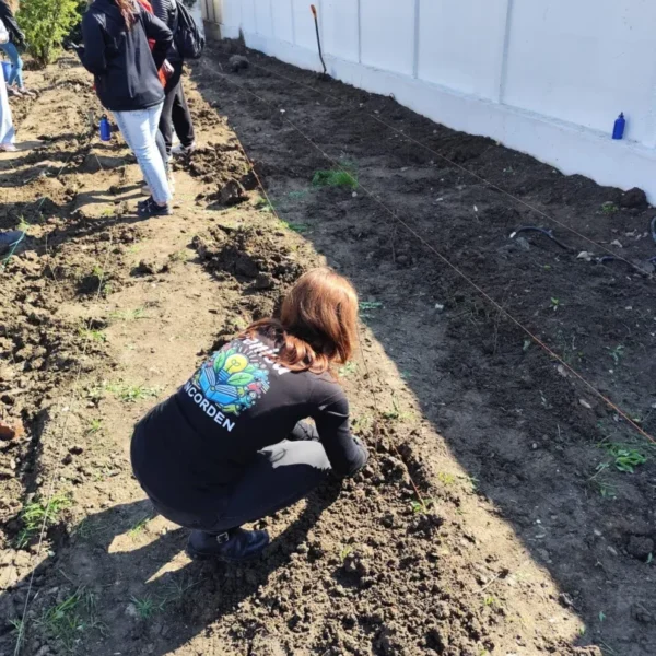 Mii de arbori pentru un aer mai curat | voluntarii incorden, în acțiune 7 asociatia incorden 14