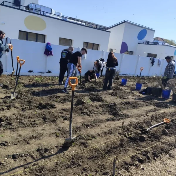 Mii de arbori pentru un aer mai curat | voluntarii incorden, în acțiune 9 asociatia incorden 2