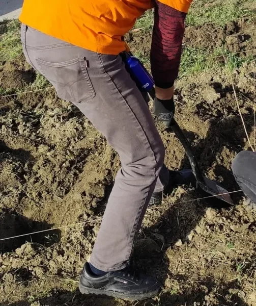 Mii de arbori pentru un aer mai curat | voluntarii incorden, în acțiune 5 asociatia incorden 5