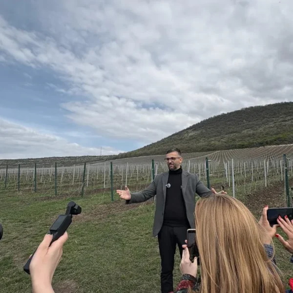 Noile crame din podgoria aradului | o excursie necesară și obligatorie pentru înțelegerea calității vinurilor din zona păuliș-covăsânț-mocrea 23 dradara – mocrea 4