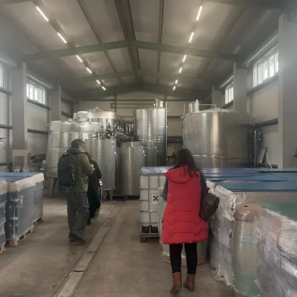 Noile crame din podgoria aradului | o excursie necesară și obligatorie pentru înțelegerea calității vinurilor din zona păuliș-covăsânț-mocrea 26 dradara – mocrea 5