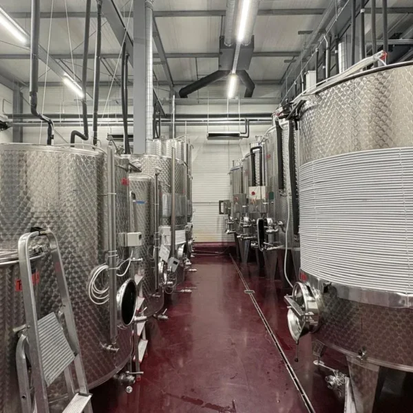 Noile crame din podgoria aradului | o excursie necesară și obligatorie pentru înțelegerea calității vinurilor din zona păuliș-covăsânț-mocrea 18 hb wine 11