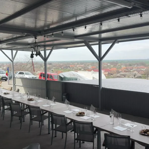 Noile crame din podgoria aradului | o excursie necesară și obligatorie pentru înțelegerea calității vinurilor din zona păuliș-covăsânț-mocrea 15 hb wine 12