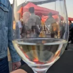 vin la ared13