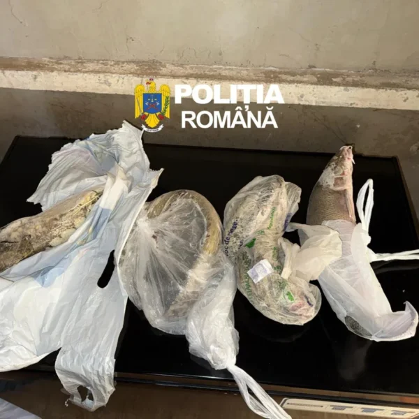 Percheziții în arad și timiș | cinci bărbați au fost reținuți pentru braconaj piscicol 9 whatsapp image 2026 04 05 at 10.40.19
