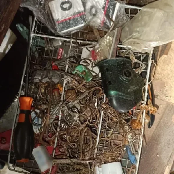 Percheziții în arad și timiș | cinci bărbați au fost reținuți pentru braconaj piscicol 3 whatsapp image 2026 04 05 at 10.40.21 2
